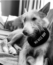 'MA WEE DUG' Scottish Dog Bandana